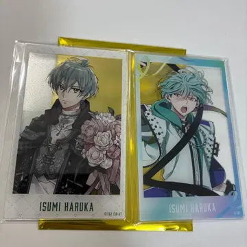 아이나나 10th 10주년 아크릴 포토 카드 이세이 유우