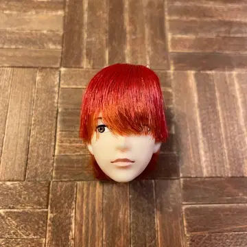 1/6 남자 도감 에이트 헤드 1