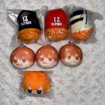 히나타 쇼요 세트