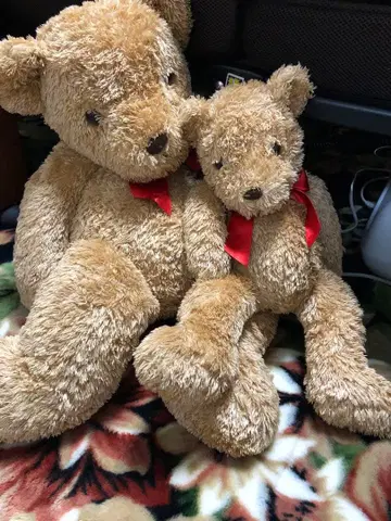 베이지색 곰 봉제 인형 2개 세트