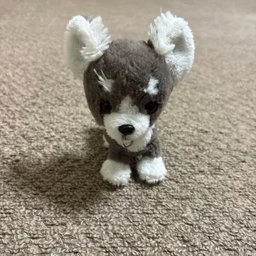 파프스 치와와 봉제 인형 그레이