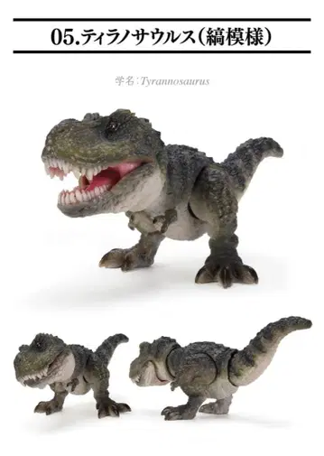 생물대도감 쁘띠 공룡 03 티라노사우루스 줄무늬