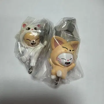 Stray Kids 츠마데츠나게테마스코토