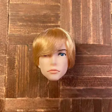 1/6 남자 도감 나인헤드1