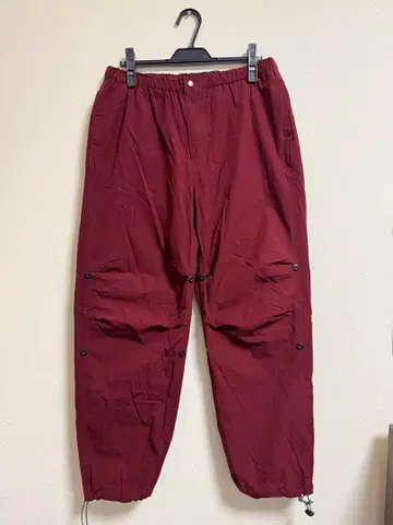 WHIMSY XL 버건디 카고 팬츠
