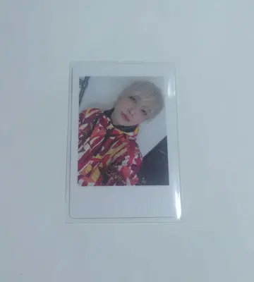 팬더드래곤 하피카 요타