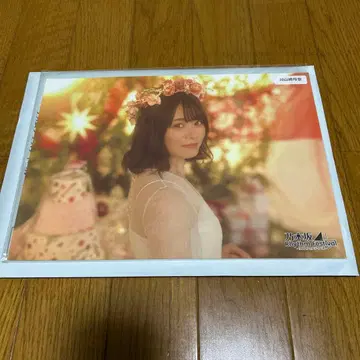 노기페스 야마자키 레이나 벌스데이 미니 포스터 A4