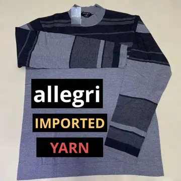 알레그리 남성용 스웨터