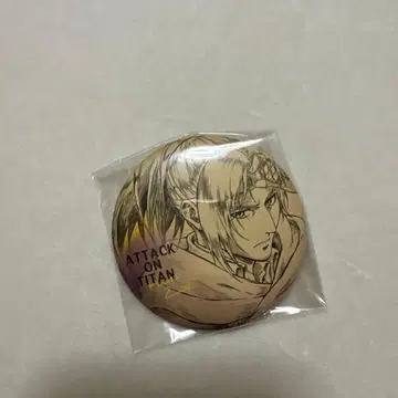 진격의 거인 한지 WIT STUDIO 캔뱃지