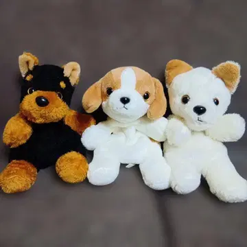 완완파크 봉제 인형 마스코트 3종 세트