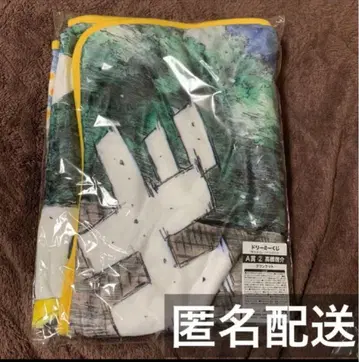 이니셜D 드림 복권 A상 2탄 타카하시 케이스케 담요