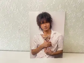 [ 레어 ] KinKi Kids 도모토 코이치 사진 포토 카드