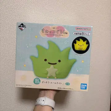 스미코구라시 잡초 룸 라이트 B