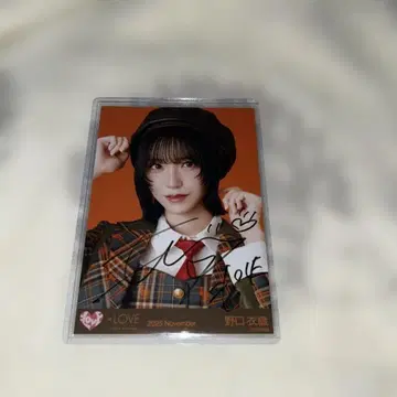 이코라부 노구치 이오리 생사진 친필 사인 러브송에 습격당하다 요리