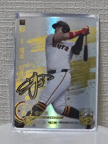 드림 오더 SSP 2장 세트