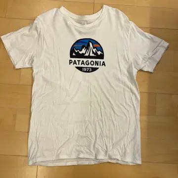 patagonia 오가닉 코튼 T셔츠 M 사이즈 가격 인하 협상 가능