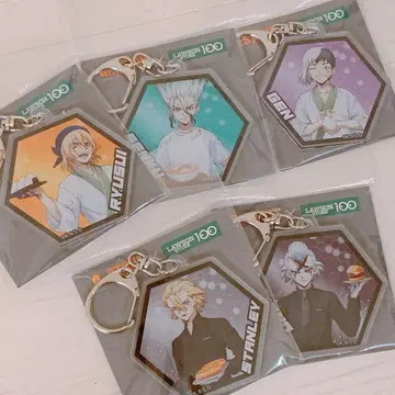 Dr.STONE 아크릴 키링 5개 세트