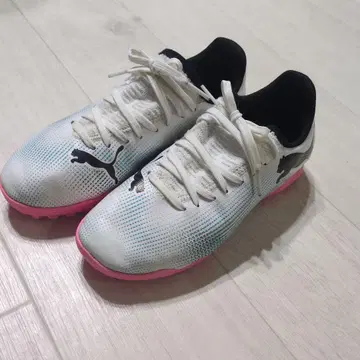 푸마 트레이닝화