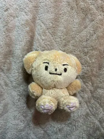 ENHYPEN 제이크 봉제 인형