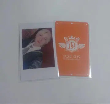 팬더드래곤 하피카 Winter Song 방위대 요우타