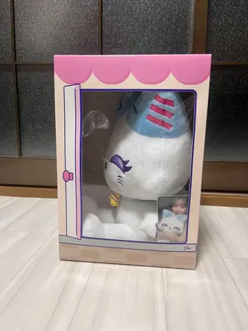 앉아 미아즈 카토 코코로 CORON