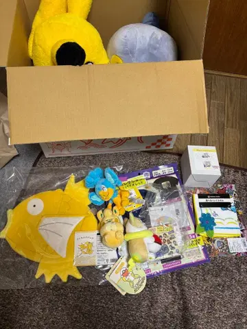 반짝반짝 박스 2026 금 코이킹 포함