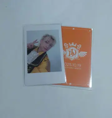 팬더드래곤 파라곤 하피카 여름 축제 요타