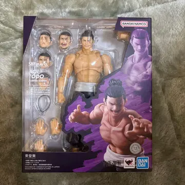 S.H.Figuarts 주술회전 토도 아오이 피규어