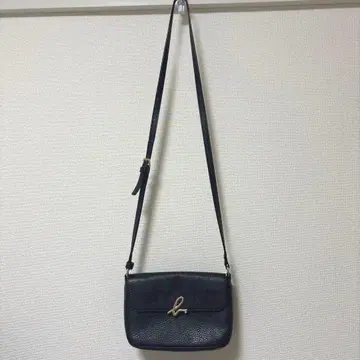 애니에스베 마이크로 숄더 미니 숄더