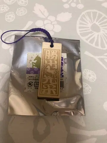 홍콩 말 이름 천사찰 스트랩 승출광영 윈브라이트