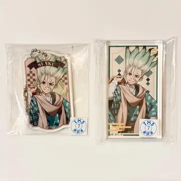 Dr.STONE 마루쿠지 이시가미 센쿠