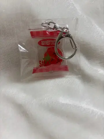 BOYNEXTDOOR 시즌 그리팅 2026 키링 테산