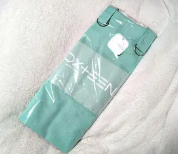 DXTEEN GIGO 한정판 토트백 민트 그린