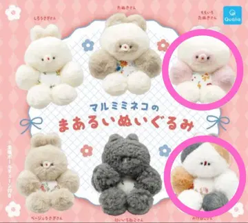 말미미 고양이의 동그란 봉제 인형