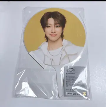 seventeen the8 부채 follow again