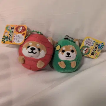 여행하는 마메시바 나루토 킨토키 스다치