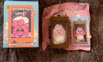 TOPTOY 탑토이 빤쮸토끼 미니어처 월드 시리즈 키링