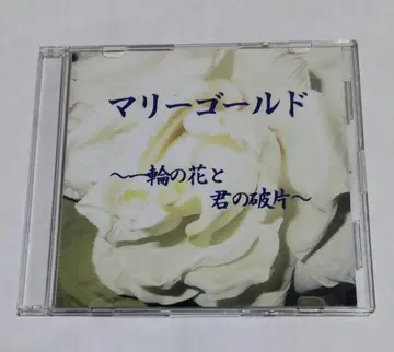 마리골드 한 송이의 꽃과 너의 파편으로