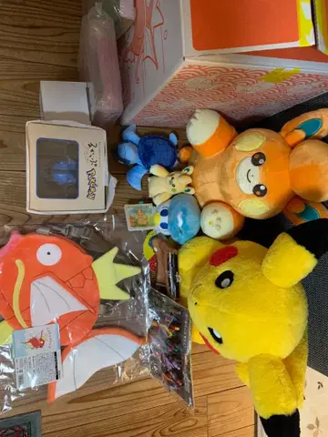 피카피카 박스 2026