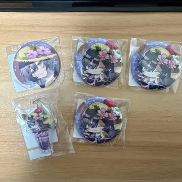 키사라 씨 세트