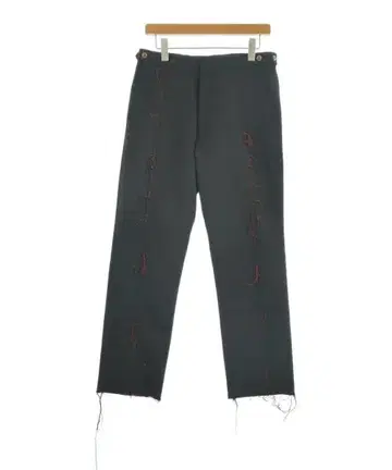 COMME des GARCONS HOMME PLUS 팬츠 (기타) 남성용