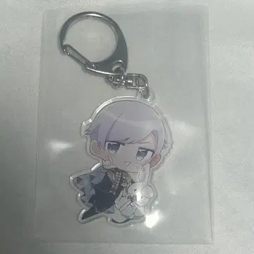 이레우스 쇼토 1주년 아크링 키링