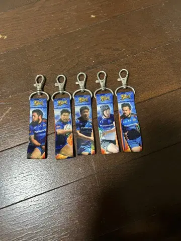 파나소닉 와일드 나이츠 키링