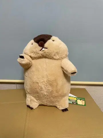 마모트의 모토토 구이인 점보 하마모토