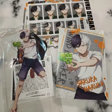 WIND BREAKER 사쿠라 하루카 굿즈 3종 세트