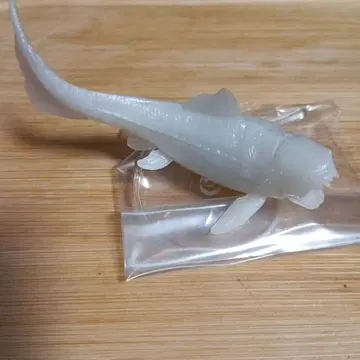 수중 최강왕 도감 (덩클리오스테우스)