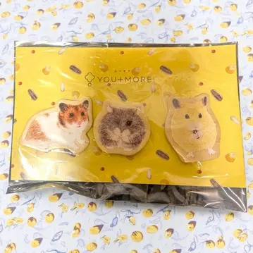 펠리시모 YOU+MORE! 햄스터 마그넷 3개 세트