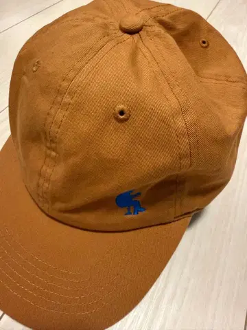 오자와 켄지 투어 굿즈 캡