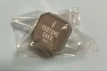 아이나나 링라이트 라쿠