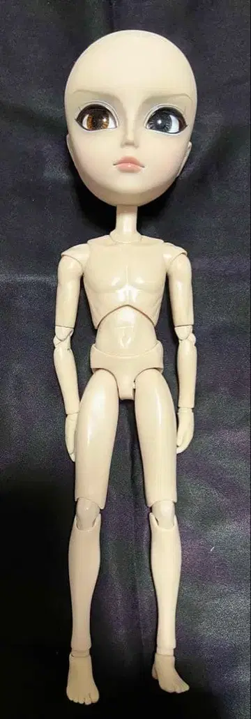 인형 1/6 그루브 테얀 소체 바디 커스텀